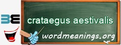 WordMeaning blackboard for crataegus aestivalis